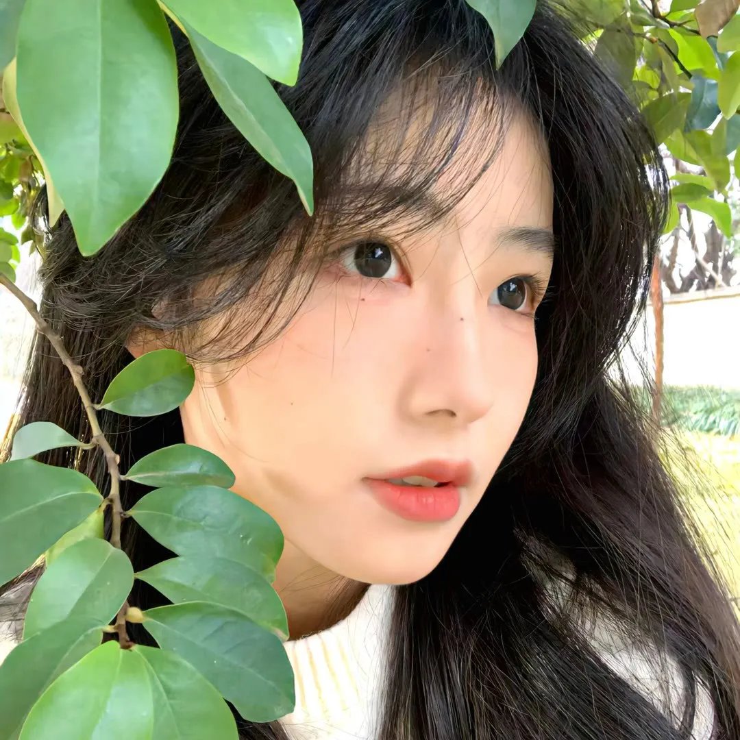 逆流的色彩